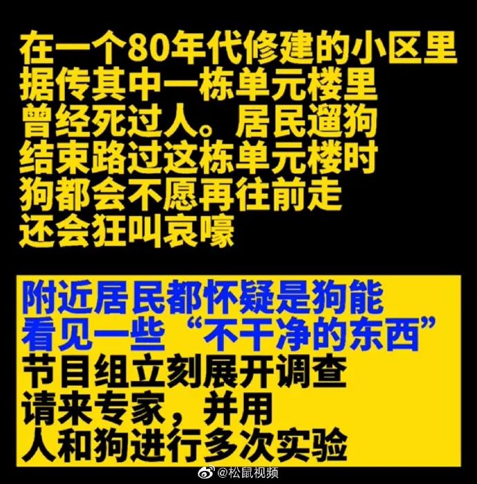 “悬疑故事的真实结局有多离谱？？”哈哈哈给我笑不活了！！