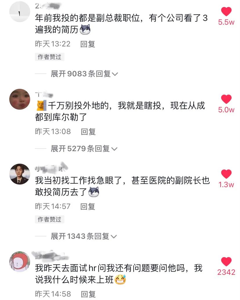 年前投的是副总裁的职位，有个公司看了3遍我的职位