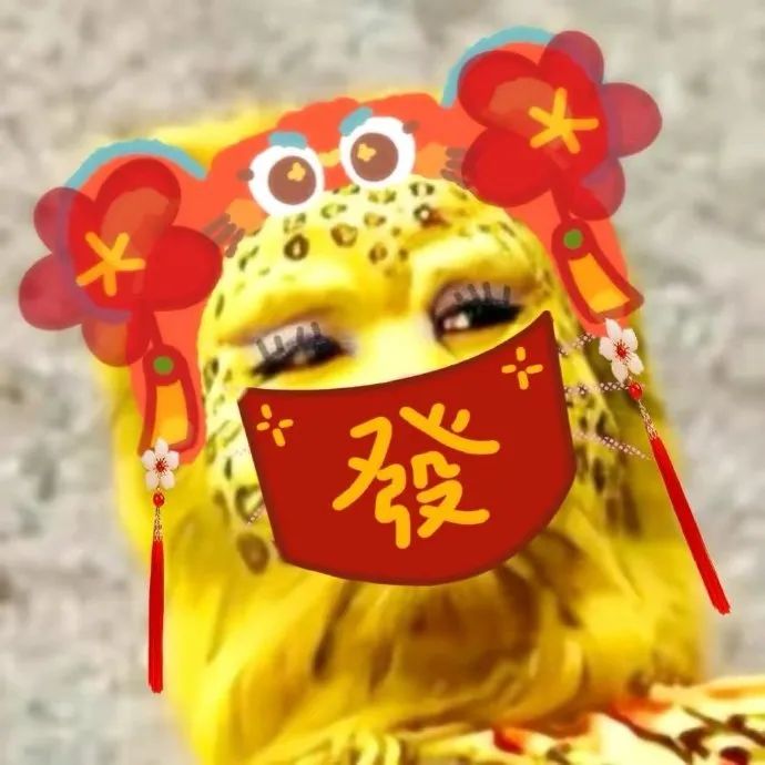 金钱豹头像，你想要的全都有！